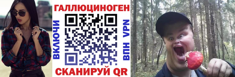 Псилоцибиновые грибы Psilocybe  Касли 